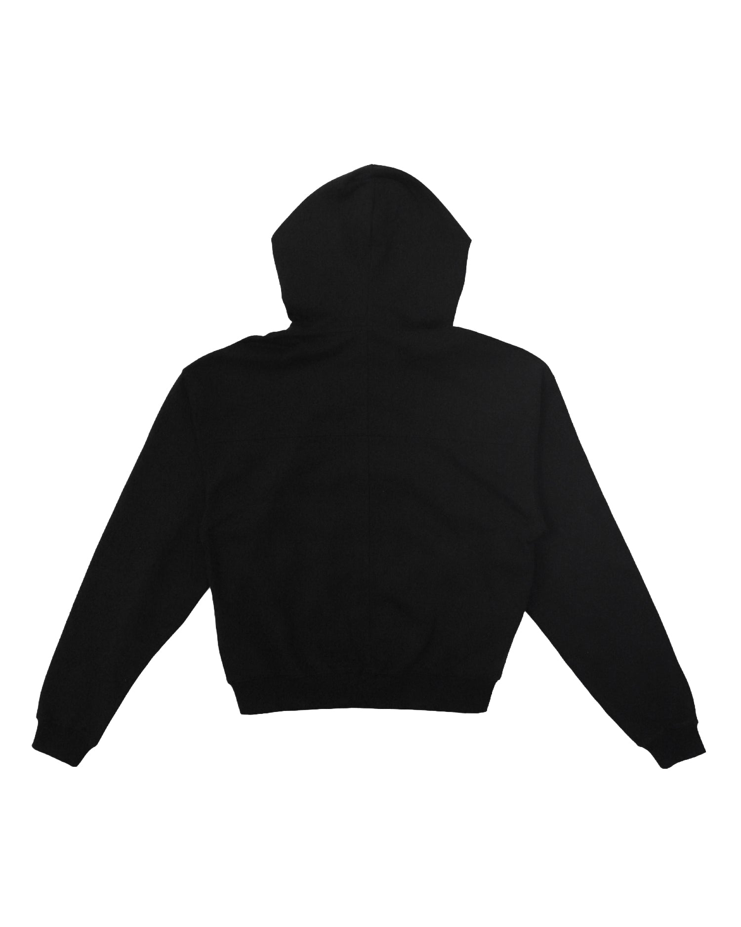Stick Embroidery Zip Hoodie / Black